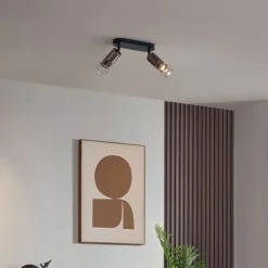 QAZQA Abgerundeter Deckenstrahler Dunkelbronze 2-flammig Verstellbar - Veerle