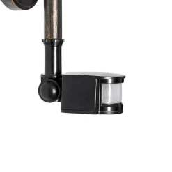 QAZQA Außenwandleuchte antikgold IP44 inkl. Bewegungsmelder - Daphne