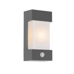 QAZQA Außenwandleuchte dunkelgrau IP54 Bewegungssensor - Tide