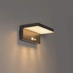 QAZQA Außenwandleuchte dunkelgrau inkl. LED und Solar - Sunnie