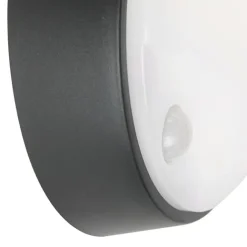 QAZQA Außenwandleuchte schwarz inkl. LED mit Bewegungsmelder IP54 - Hortus