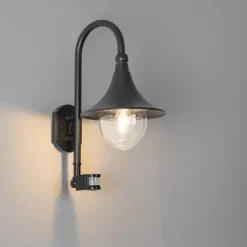 QAZQA Außenwandleuchte schwarz IP44 inkl. Bewegungsmelder - Daphne