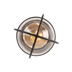 QAZQA Country Exterior Deckenleuchte schwarz mit Glas IP44 - Elza