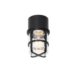 QAZQA Decken- und Wandleuchte schwarz mit klarem Schirm IP54 - Kiki