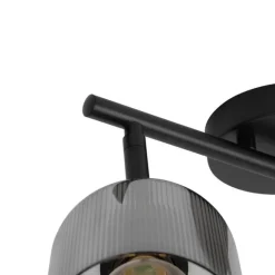 QAZQA Deckenstrahler schwarz mit Rauchglas 2-flammig verstellbar - Laura