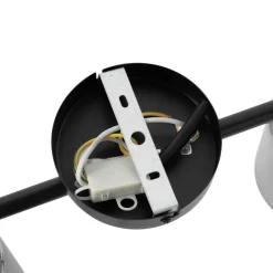 QAZQA Deckenstrahler schwarz mit Rauchglas 2-flammig verstellbar - Laura