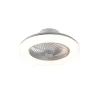 QAZQA Deckenventilator Silber 55,5 cm inkl. LED Dimmbar mit Fernbedienung - Clima