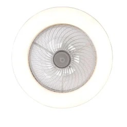 QAZQA Deckenventilator Silber 55,5 cm inkl. LED Dimmbar mit Fernbedienung - Clima