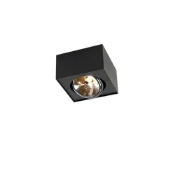 QAZQA Design Aufbaustrahler Schwarz Verstellbar - Kaya