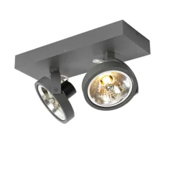 QAZQA Design spot grau verstellbar 2-flammig - Go