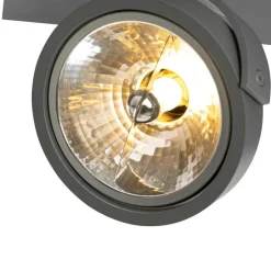 QAZQA Design spot grau verstellbar 2-flammig - Go