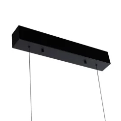 Paul Neuhaus Design-Pendelleuchte Schwarz inkl. dimmbarer LED 3-Stufen Easylift - Nele
