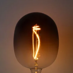 LUEDD E27 Dimmbare LED-Glühbirnen G170 Braun 4,9W 130 lm 1800K