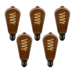 LUEDD 5er-Set E27 Dimmbare LED-Glühbirnen ST64 Braun 4W 100 lm 1800K