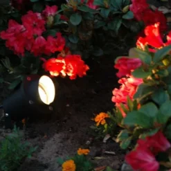 QAZQA Gartenstrahler schwarz inkl. Kabel und Stecker IP65 - Done