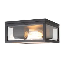 QAZQA Industrielle Deckenleuchte schwarz IP44 - Charlois