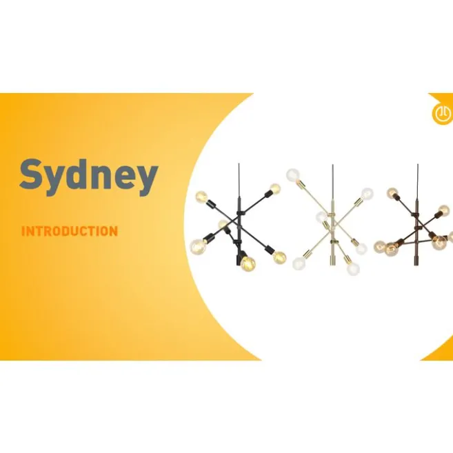 QAZQA Industrielle Hängelampe schwarz 6-flammig - Sydney