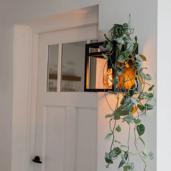 QAZQA Industrielle Wandleuchte schwarz mit Gestell - Cage Rack