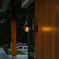 QAZQA Klassische Außenwandleuchte schwarz IP44 - Daphne