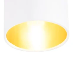 QAZQA Moderne Deckenleuchte 6-Flammig weiß - Lofty