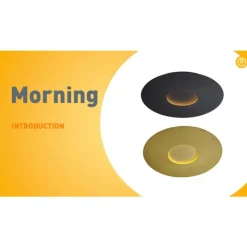 QAZQA Moderne Deckenleuchte Gold 60cm inkl. LED 3-Stufen Dimmbar - Morning