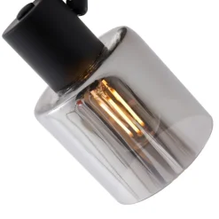 QAZQA Moderne Deckenleuchte Schwarz mit rundem Rauchglas - Cilin