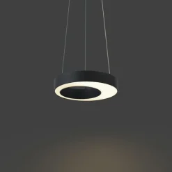 QAZQA Moderne Hängelampe schwarz 35cm 3-Stufen-Dimmbar - Organici