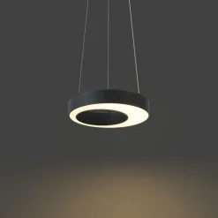 QAZQA Moderne Hängelampe schwarz 35cm 3-Stufen-Dimmbar - Organici