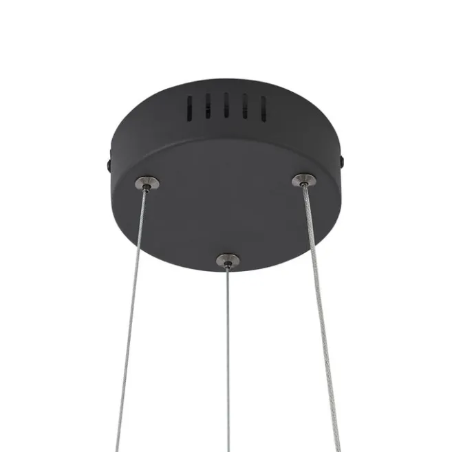 QAZQA Moderne Hängelampe schwarz 50cm inkl. LED 3-Stufen-Dimmbar - Organici