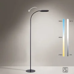 Paul Neuhaus Moderne Stehleuchte schwarz dimmbar inkl. LED - Kiril