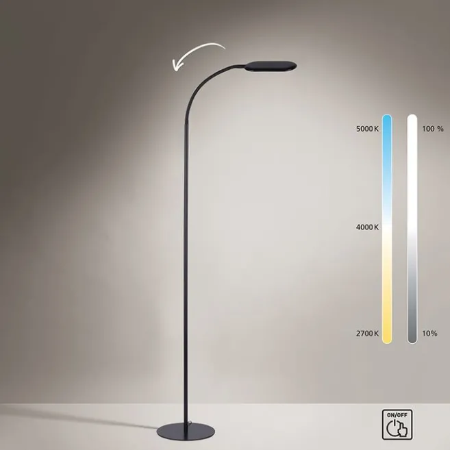 Paul Neuhaus Moderne Stehleuchte schwarz dimmbar inkl. LED - Kiril