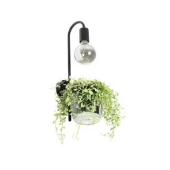 QAZQA Moderne Wandlampe schwarz mit Glas - Roslini
