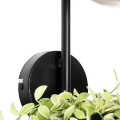 QAZQA Moderne Wandlampe schwarz mit Glas - Roslini