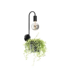 QAZQA Moderne Wandlampe schwarz mit Glas - Roslini