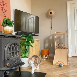 QAZQA Orientalische Wandleuchte Rattan 35 cm mit Stecker - Rina