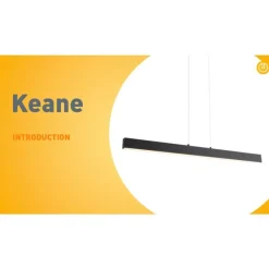 QAZQA Professional Pendelleuchte schwarz inkl. LED 3-Stufen-Dimmbar 2700-4000K mit Dip-Schalter - Keane