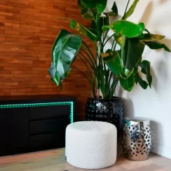 Calex Set aus 2 smarten LED-Streifen RGBW und dimmbar in Kelvin 2 m inkl. Treiber