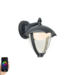 QAZQA Smarte Außenwandleuchte schwarz mit Klarglas inkl. LED IP54 - Classica