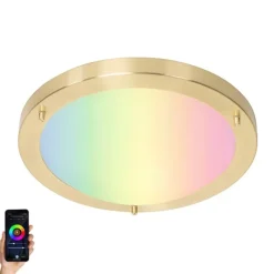 QAZQA Smarte Deckenleuchte Gold 31 cm IP44 inkl. Wifi A60 - Yuma