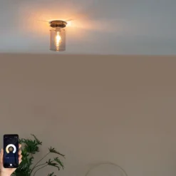 QAZQA Smarte Deckenleuchte schwarz mit Rauchglas inkl. Wifi ST64 - Dome