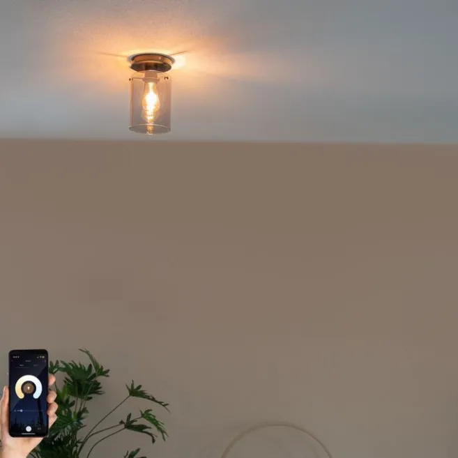 QAZQA Smarte Deckenleuchte schwarz mit Rauchglas inkl. Wifi ST64 - Dome