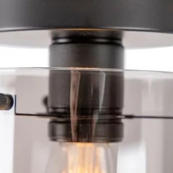 QAZQA Smarte Deckenleuchte schwarz mit Rauchglas inkl. Wifi ST64 - Dome