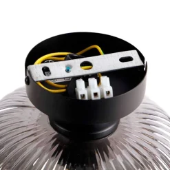 QAZQA Smarte Deckenleuchte schwarz mit Rauchglas inkl. WLAN A60 - Karel