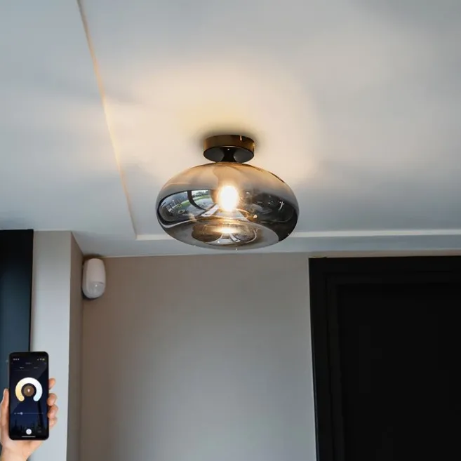 QAZQA Smarte Deckenleuchte schwarz mit Rauchglas inkl. WLAN P45 - Busa