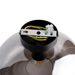 QAZQA Smarte Deckenleuchte schwarz mit Rauchglas inkl. WLAN P45 - Busa