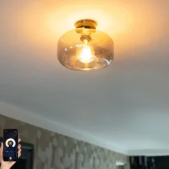 QAZQA Smarte Deckenleuchte schwarz mit Rauchglas inkl. WiFi A60 - Bizle