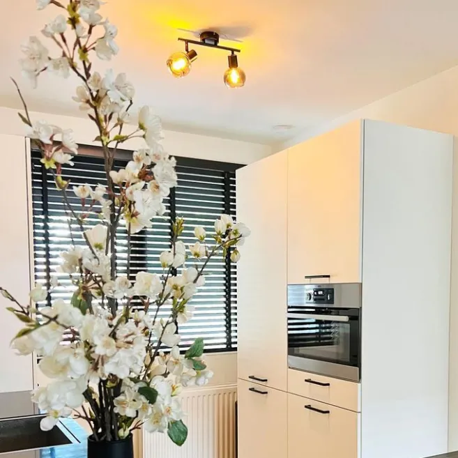 QAZQA Smarte Deckenleuchte schwarz mit Rauchglas inkl. 2 WiFi P45 - Vidro