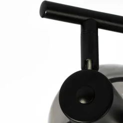 QAZQA Smarte Deckenleuchte schwarz mit Rauchglas inkl. 2 WiFi P45 - Vidro