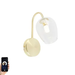 QAZQA Smarte Wandleuchte Gold mit Glas inkl. Wifi G9 - Elien