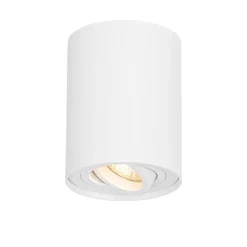 QAZQA Smarter Deckenspot weiß verstellbar inkl. Wifi GU10 - Rondoo up